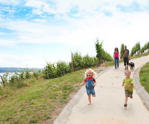 Die Wanderung Mont Vully ist ideal für Familien