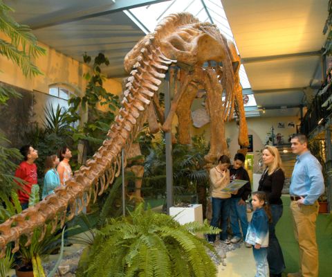 Famiglia osserva lo scheletro di un grande dinosauro
