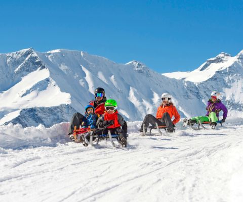 Familien mit Kindern im Schnee auf Schlitten