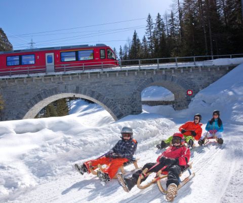 Familie auf Schlittelbahn im Hintergrund eine Brücke mit einem roten Zug