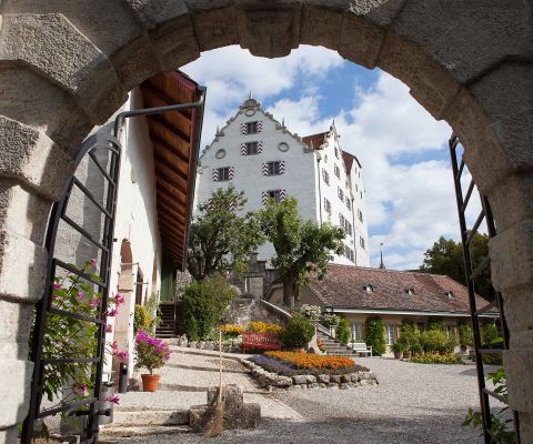 Schloss-Wildegg_Aussenansicht_Hof-durch-Tor