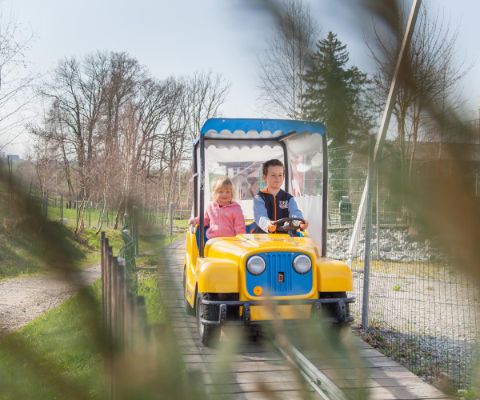 Junge und Mädchen fahren in der Schongi-Bahn