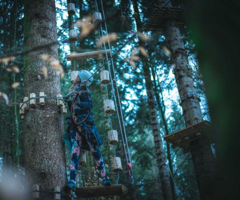 Plaisir de la grimpe en forêt: parc accrobranche du Gantrisch