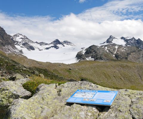 Gletscherpfad bei der Silvrettahütte
