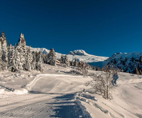 Sonnige Aussichten für Familien im Skigebiet Carì