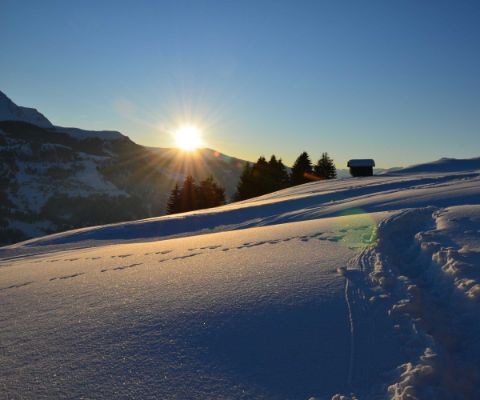 Das Skigebiet Hochwang bei Arosa