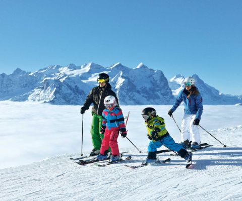 Familie fährt Ski