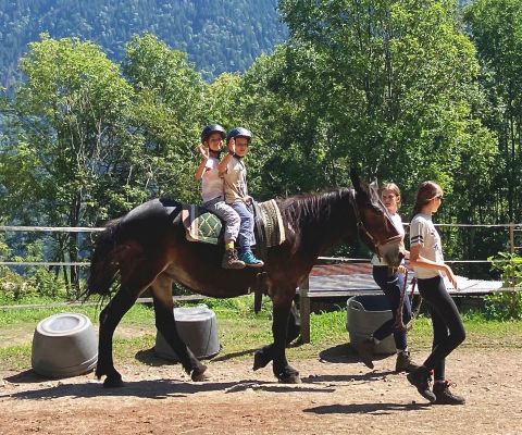 Zwei kleine Jungen sitzen auf einem geführten Pferd und winken