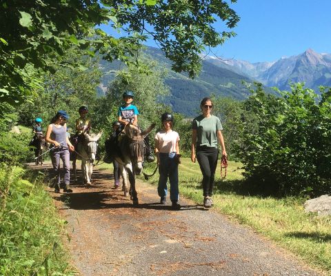 Kinder reiten auf geführten Eseln