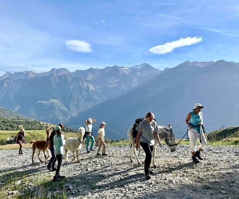 Frauen und Kinder wandern mit Esel und Alpakas