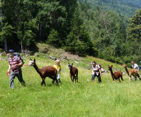 Ferme Somarelli à Cumiasca: trekking avec des animaux