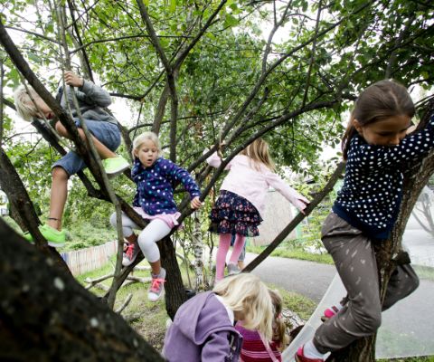 Enfants grimpant dans des arbres dans l’aire de jeux de Saint-Gall