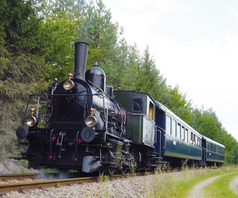 Il trenino a vapore della ferrovia di Sursee-Triengen