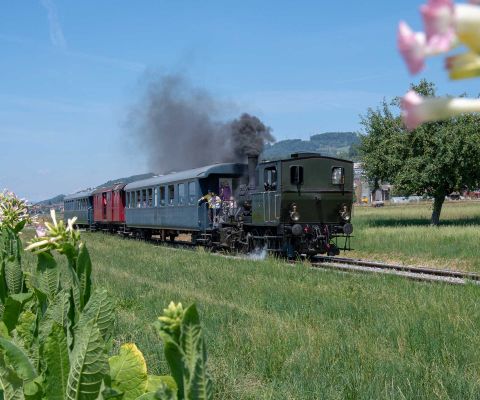 Dampflokomotive fährt zwischen Sursee und Triengen