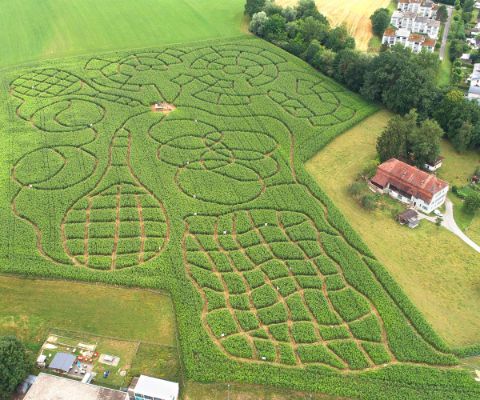 Swiss Labyrinthe bei Delsberg: Spass und Spannung im Labyrinth