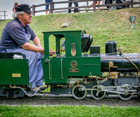 Homme conduisant une locomotive à vapeur miniature
