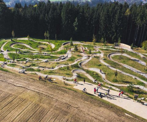 Sentiers et parcours de V.T.T. au Swiss Bike Park d’Oberried