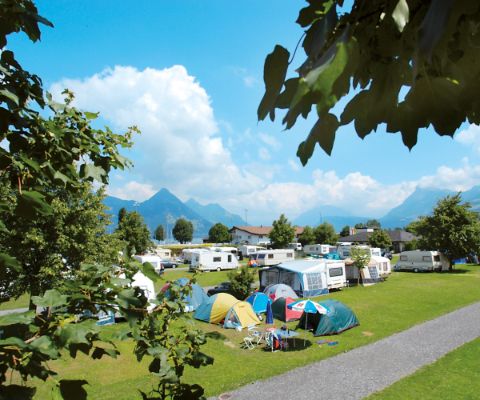 Zelte und Wohnmobile auf einer Wiese des Campingplatz Buochs