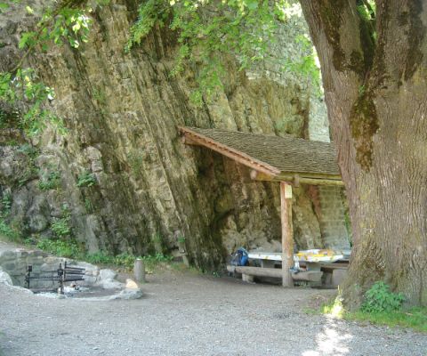 Aire de grillades couverte au pied d’une falaise et tronc d’un très vieil arbre