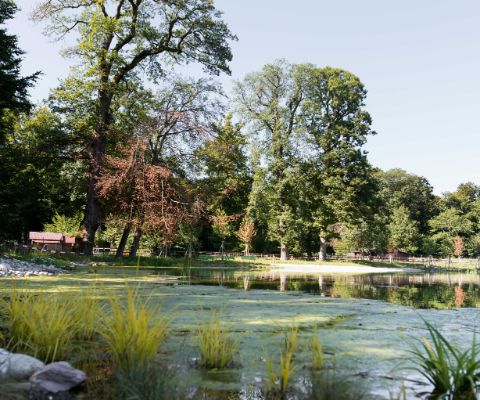 Der Sauvabelin-Tierpark in Lausanne liegt an einem See
