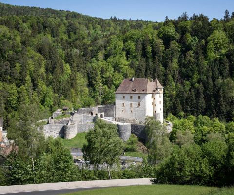 Blick auf das Schloss Valangin