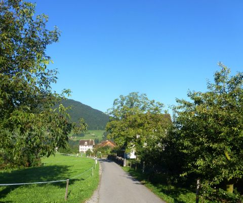 Tour à vélo-Schwyz-contenu-scène-1