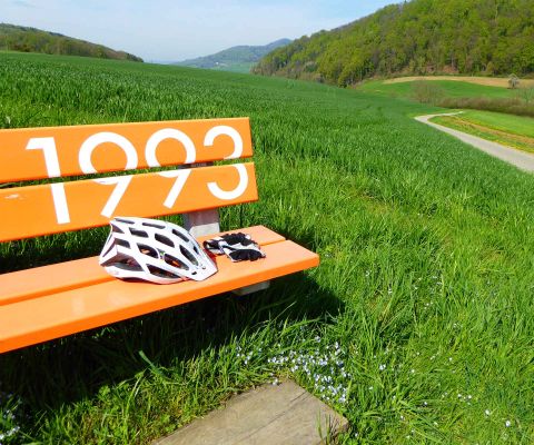 Casque de vélo et gants sur un banc orange devant une prairie verte