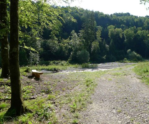 Waldweg mit einer Holzbank