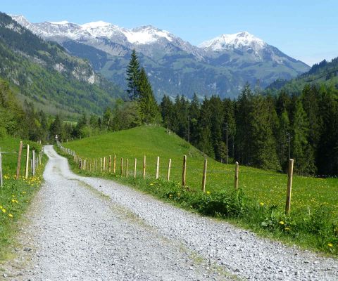 Rad- und Wanderweg durch grüne Wiesen und Berge im Hintergrund