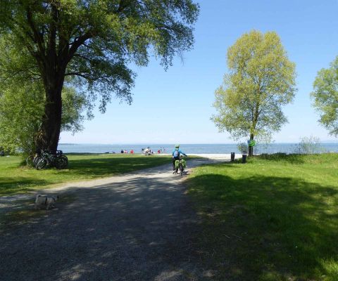Eine Frau schiebt ihr Fahrrad auf einem Radweg zum Ufer des Bodensee