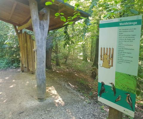Der Walderlebnispfad Bannwald in Olten hat zehn Posten