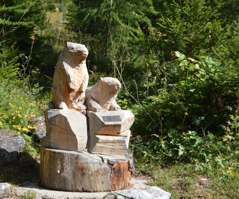 Sculpture sur le sentier didactique forestier de La Punt - Madulain