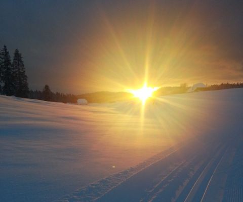 Sonnenuntergang im winterlichen Le Cerneux-Pequignot