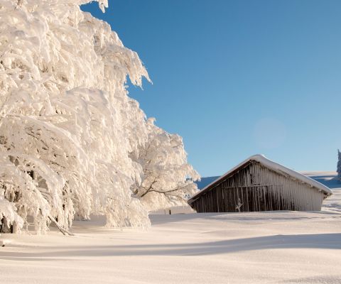 Winterwunderland auf dem Weissenstein