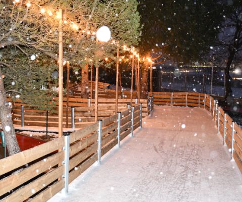 Zauberhafte Winterwunderwelt auf der Kunsteisbahn Wallisellen