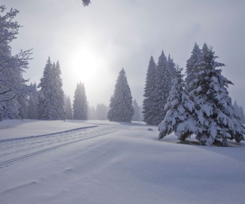 Winterstimmung in Le Creux-des-Biches