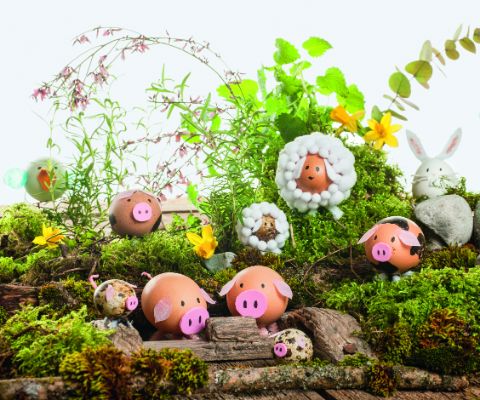 Différents œufs-animaux, joliment décorés avec de la mousse et des plantes