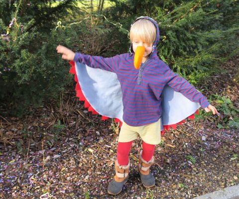 Costume Da Pappagallo Per Bambina In 4 Pezzi: Vestito, Ali, Calzini E Fiocco Per Capelli - Carnevale E Halloween