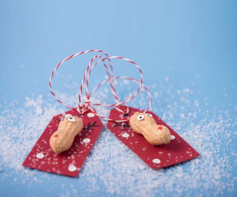 Adorables cartes-cadeaux avec petits élans en cacahuètes.