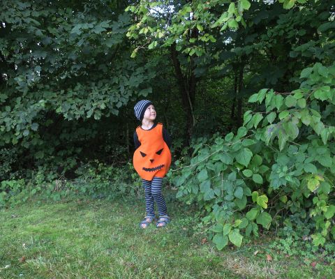 Junge mit Kürbis-Kostüm am Waldrand