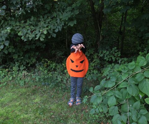 Junge mit Kürbis-Kostüm am Waldrand