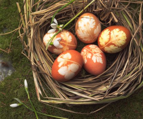 Uova di Pasqua decorate con le erbe aromatiche in un cestino