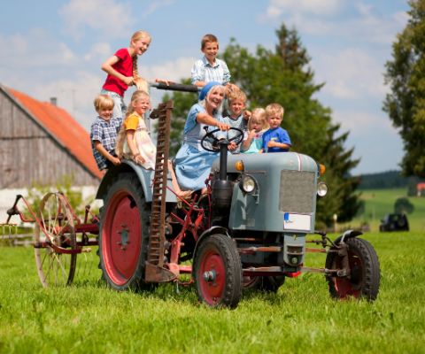 Frau fährt lachend einen Traktor und viele Kinder stehen und sitzen um sie herum