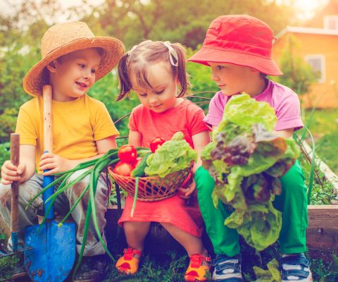 Trois enfants jardinent et récoltent des légumes frais