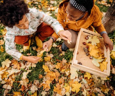 Zwei Kinder sammeln im Herbstwald Kastanien und Blätter
