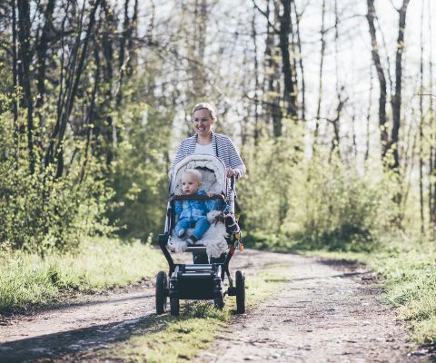 Una mamma fa un'escursione con un bebè in carrozzina