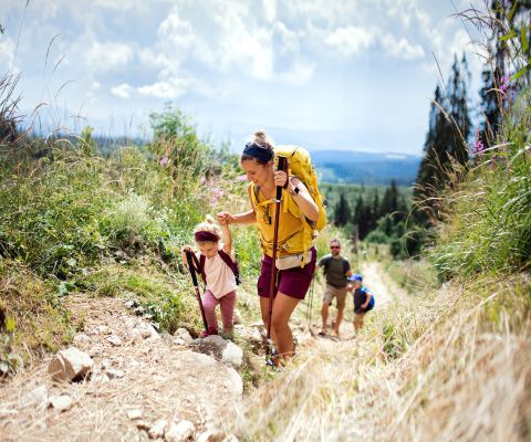 Familie mit kleinen Kindern wandert in einem Schweizer Naturpark