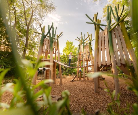 Spielplatz des Papiliorama
