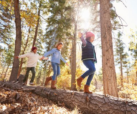 Tre bambini in equilibrio su un tronco d'albero nel bosco autunnale