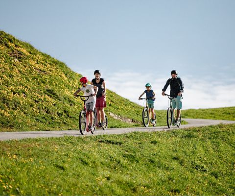 Radfahrende Familie am VogellisiBerg in Adelboden